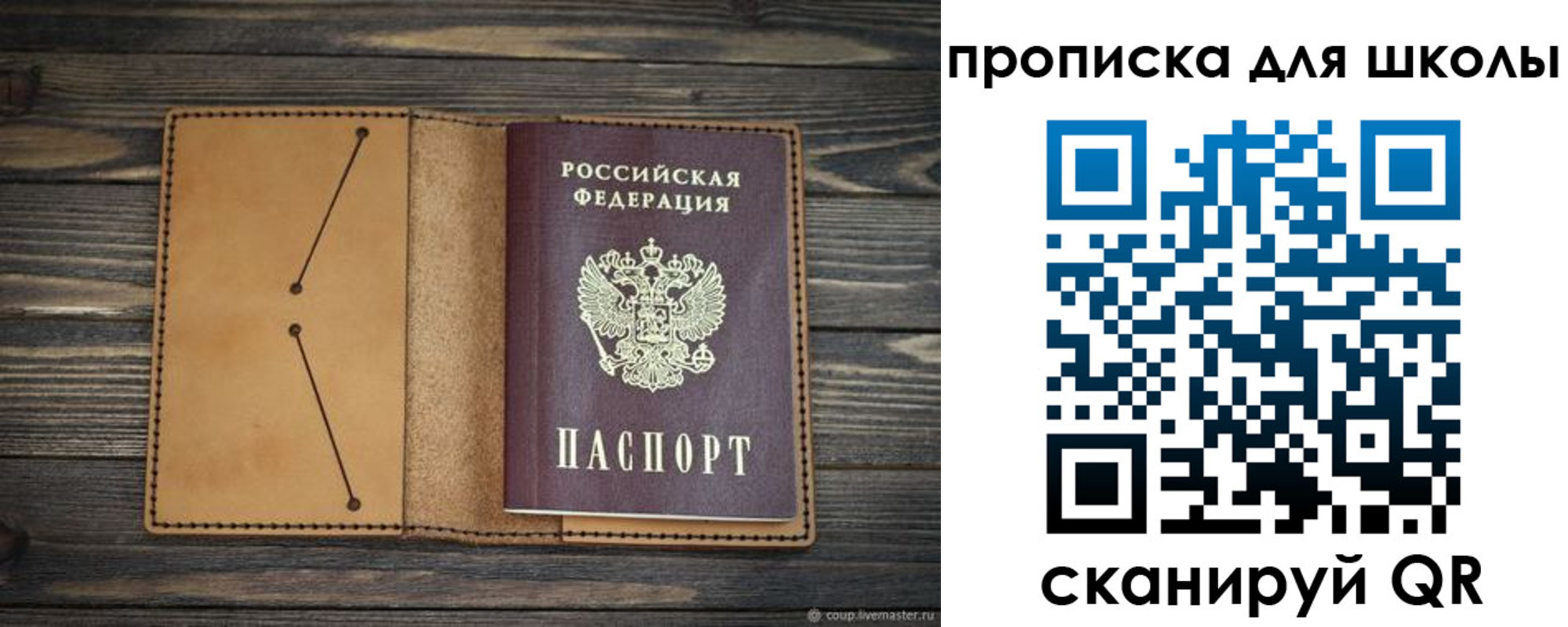 прописка в Оленегорске