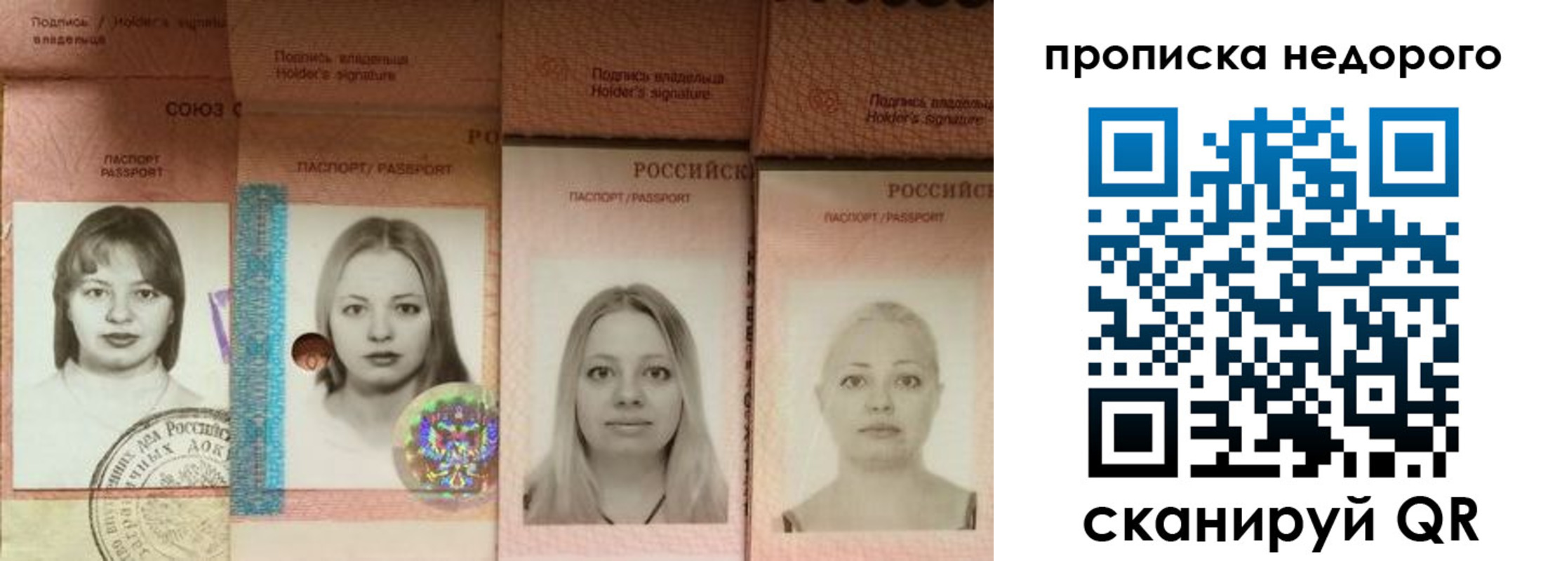 прописка в Оленегорске